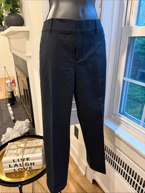 Banana Republic Black Skirt with Pink Trim